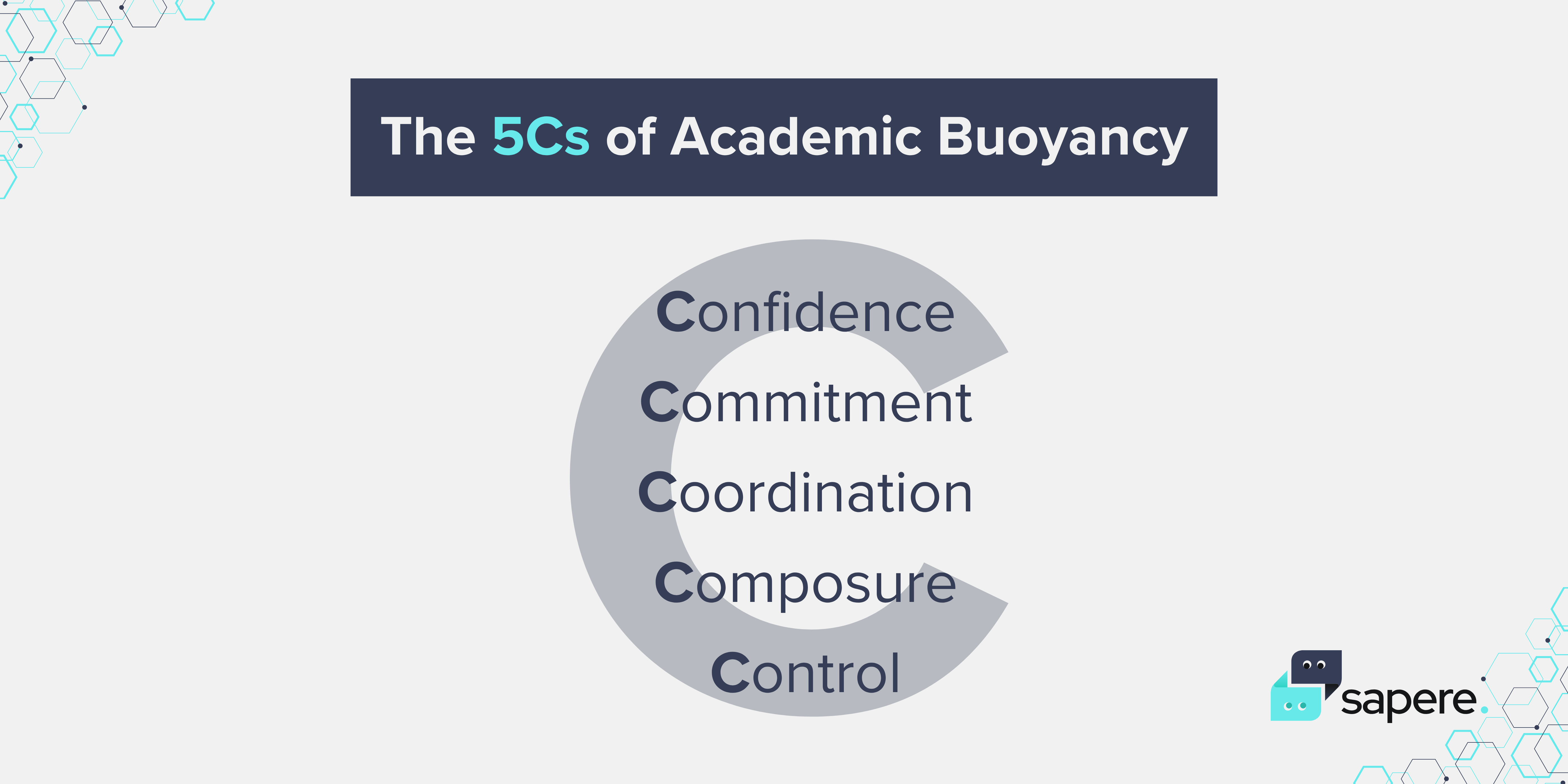 Navigating the Academic Seas: Understanding and Cultivating Academic Buoyancy