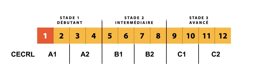 Comprendre l'Échelle québécoise des niveaux de compétence en français